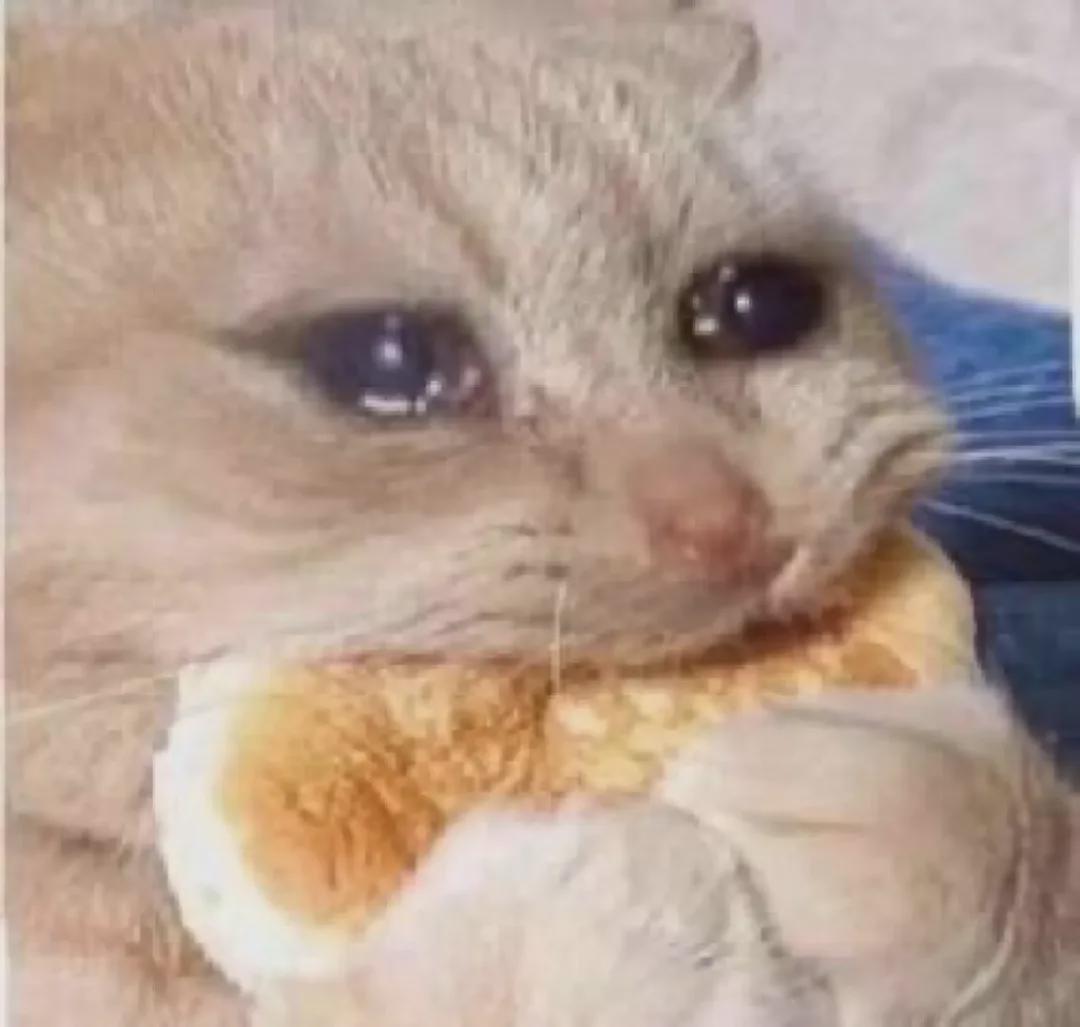 奇异果体育app-炸裂!大帽首轮16号秀!混音队友点评杨瀚森